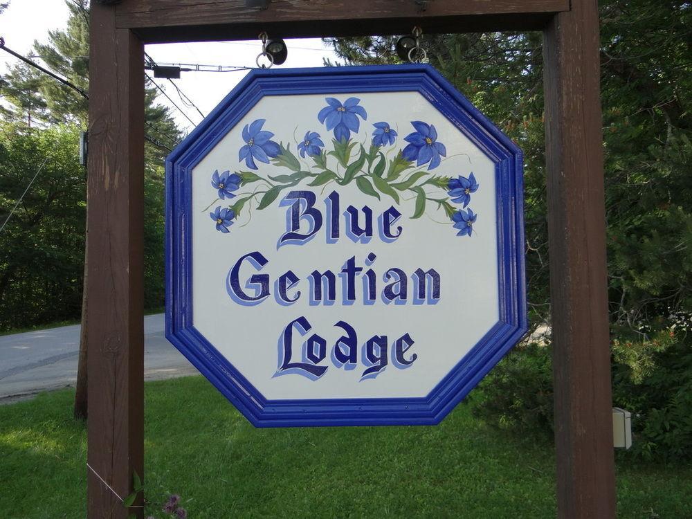 Blue Gentian Lodge At Magic Mountain Londonderry Экстерьер фото