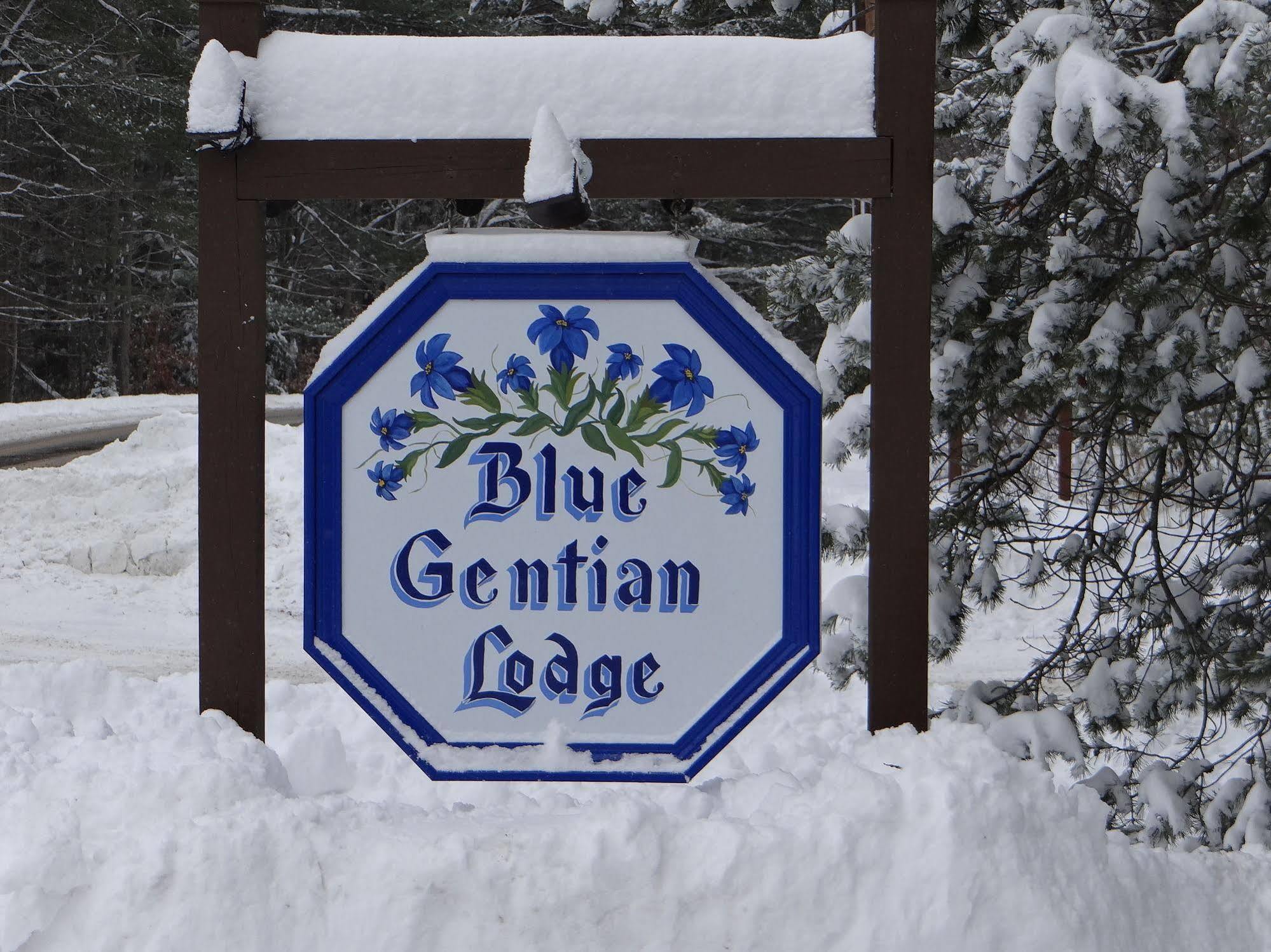 Blue Gentian Lodge At Magic Mountain Londonderry Экстерьер фото